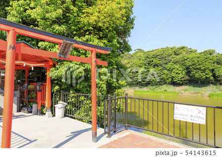 大阪・御廟山古墳(百舌鳥御廟山古墳)と永尾大神 大阪・御廟山古墳(百舌鳥御廟山古墳)と永尾大神 54143615