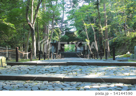 京都　法然院　参道 54144590