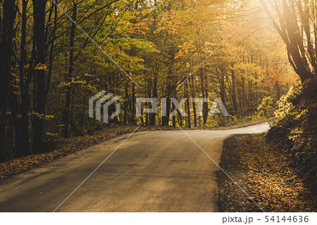 Beautiful autumn landscape 54144636