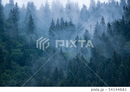 Misty mountain landscape 54144681