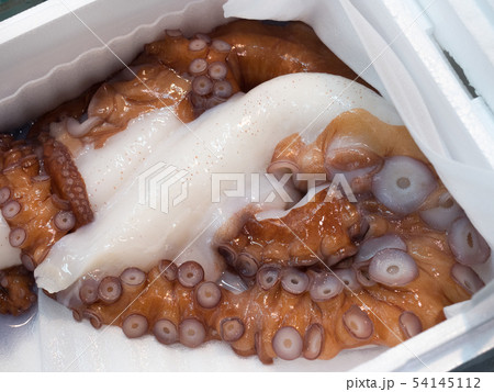 市場に並んだ生のタコ 市場に並んだ生のタコ 54145112