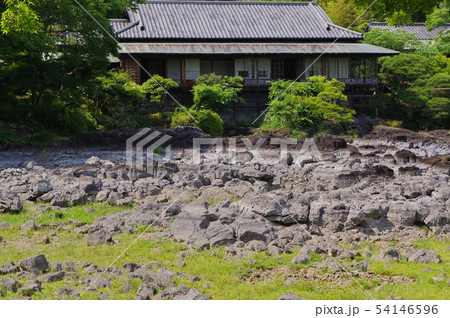 三島市・楽寿園 54146596