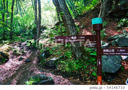 前掛山登山道 一の鳥居分岐 前掛山登山道 一の鳥居分岐 54146710
