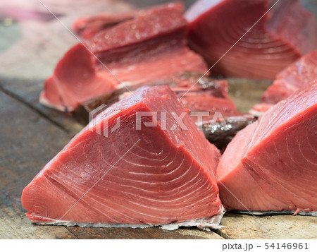マグロの切り身 54146961