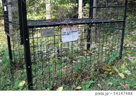 猪捕獲の罠 54147488