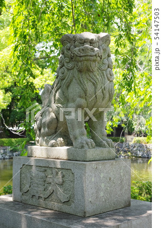 三嶋大社 54147503