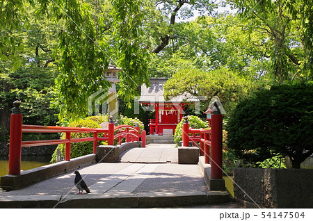 三嶋大社・厳島神社 54147504
