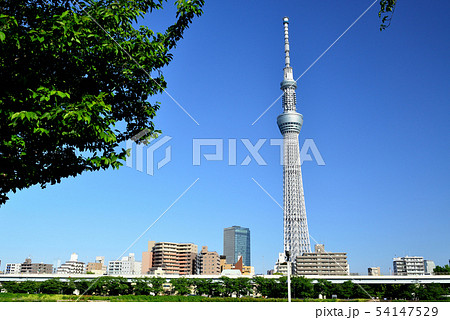 隅田川公園から観る青空に映える東京スカイツリーの風景の写真素材