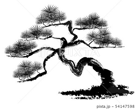 美しい花の画像 Hd限定松の木 イラスト 白黒