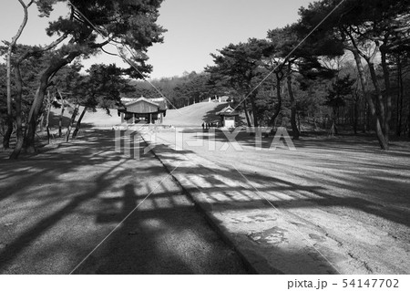 世界文化遺産 陵 朝鮮王陵 54147702