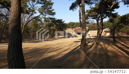 世界文化遺産 陵 朝鮮王陵 54147712