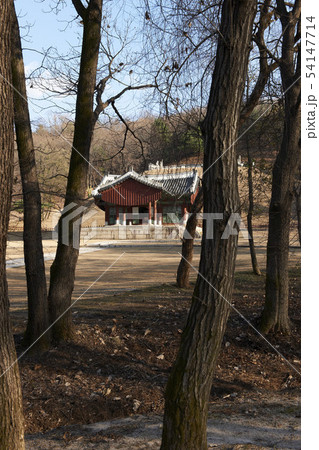 世界文化遺産 陵 朝鮮王陵 54147714