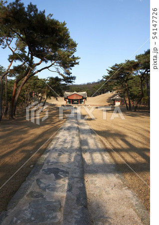 世界文化遺産 陵 朝鮮王陵 54147726