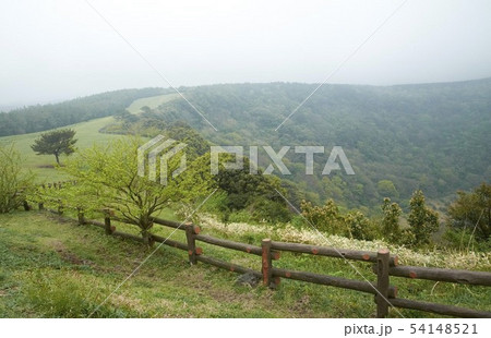 霧 風景 春 54148521
