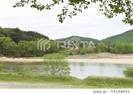 枝 風景 屋外 54148645