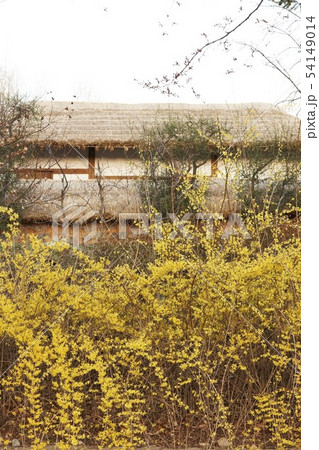 季節 丸屋 建築 54149014