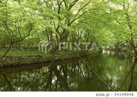 建築 古建築 伝統 54149048