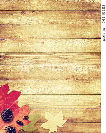 背景 秋 木目 落ち葉 どんぐり ヴィンテージのイラスト素材