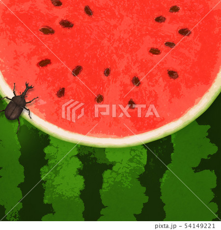 背景-夏-スイカ-かぶとむし 54149221