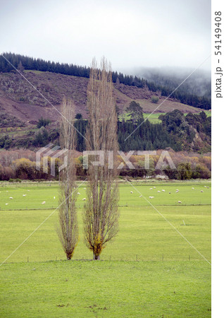 Motupiko valley,South Island,New Zealand Motupiko valley,South Island,New Zealand 54149408