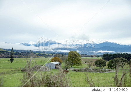 Motupiko valley,South Island,New Zealand 54149409