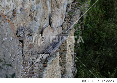 インカ橋　マチュピチュ遺跡 54150023