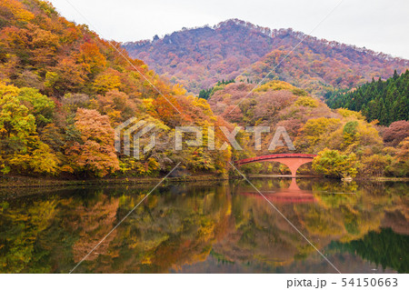 秋の碓氷峠 紅葉の碓氷湖の写真素材 [54150663] - PIXTA