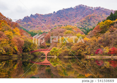 秋の碓氷峠　紅葉の碓氷湖 54150669