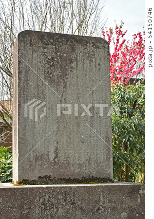 越前大野散歩：柳廼社境内の内山良休の顕彰碑 54150746