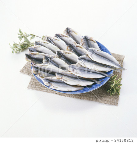 鮎の開き-一夜干し 54150815