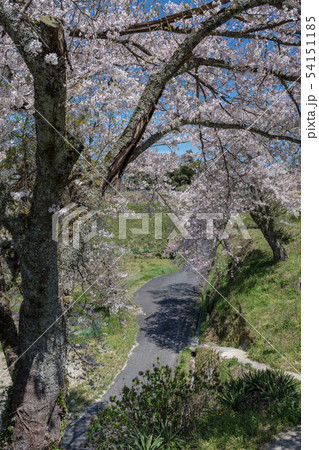 山城　月山富田城　春の道　 54151185