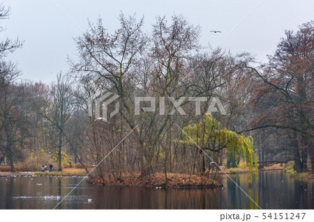 Lazienki Park or Royal Baths Park in autumn. Lazienki Park or Royal Baths Park in autumn. 54151247