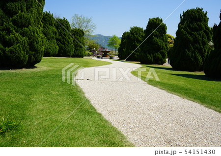 公園内の道 54151430