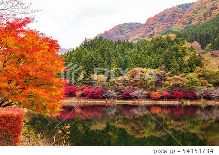 秋の碓氷峠　紅葉の碓氷湖 54151734