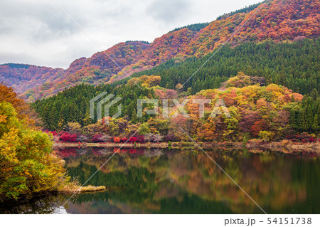 秋の碓氷峠 紅葉の碓氷湖 秋の碓氷峠 紅葉の碓氷湖 54151738