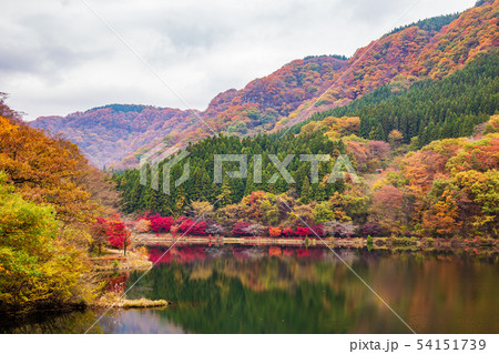 秋の碓氷峠　紅葉の碓氷湖 54151739