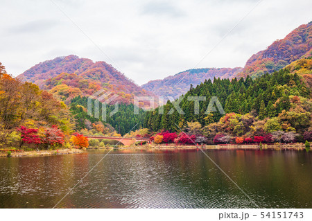 秋の碓氷峠　紅葉の碓氷湖 54151743