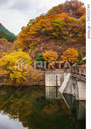 秋の碓氷峠　紅葉の碓氷湖 54151744