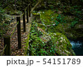 滝の遊歩道 54151789