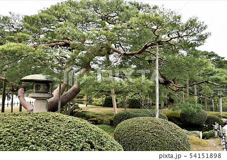 加賀　兼六園　大名庭園 54151898
