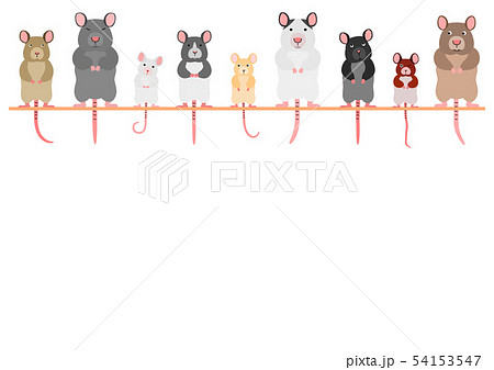 Cute Mouse Border 1 Stock Illustration
