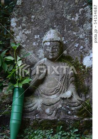 女人高野 女人高野 54154687