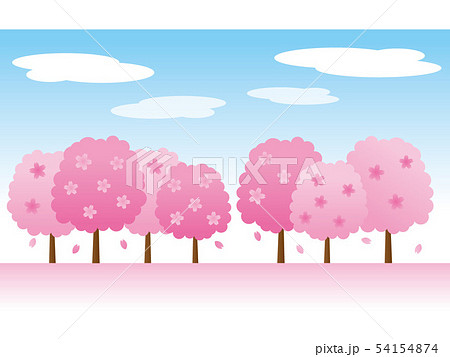 桜の木々 桜の木々 54154874