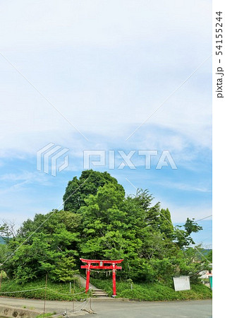 四国　徳島県　日本一低い自然の山　「弁天山」 54155244