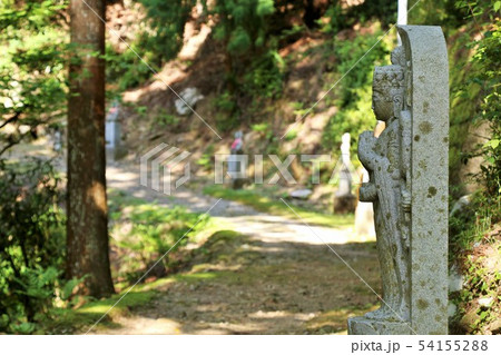 四国 徳島県 山の道と石像 四国 徳島県 山の道と石像 54155288