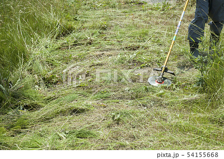 草刈り、除草イメージ 草刈り機で草刈りをする男性足元 草刈り、除草イメージ 草刈り機で草刈りをする男性足元 54155668