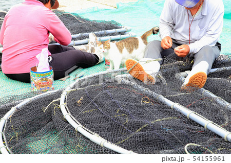 久賀島　五輪港の昼下がり 54155961