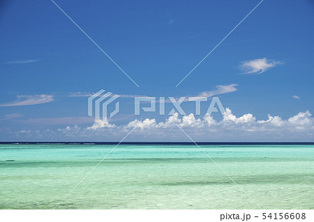 サンゴ礁の海 54156608