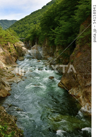 日光市鬼怒川龍王峡とむささび橋 日光市鬼怒川龍王峡とむささび橋 54158941