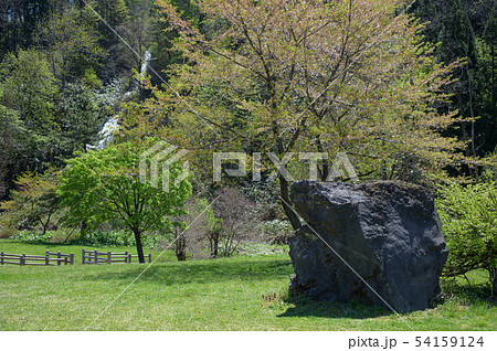 春の七滝 岩石 秋田県 春の七滝 岩石 秋田県 54159124